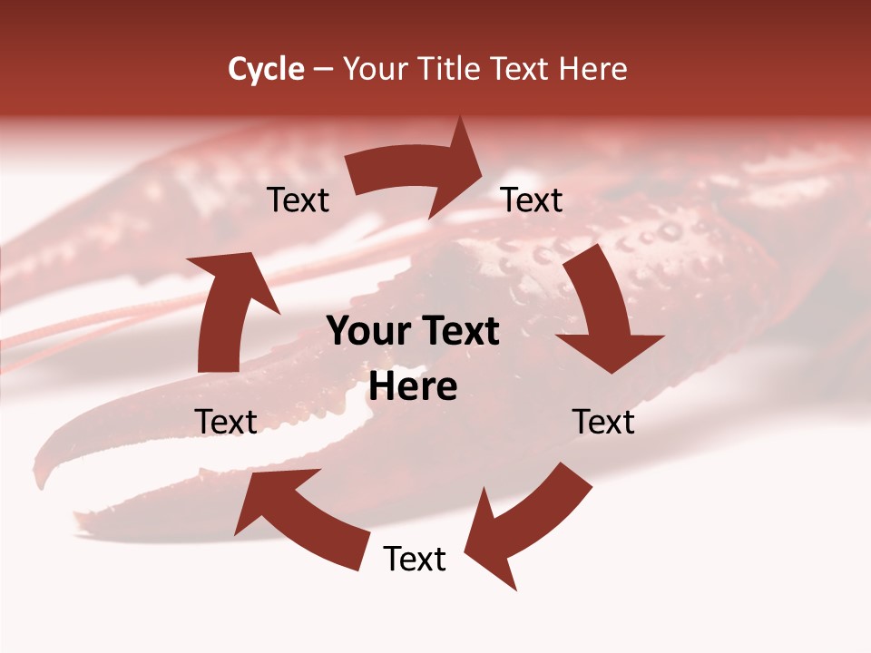 Antenna Photography Seafood PowerPoint Template