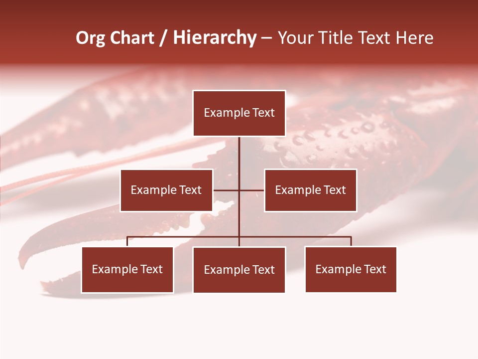 Antenna Photography Seafood PowerPoint Template