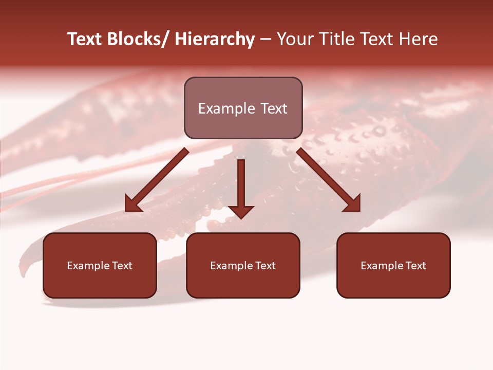 Antenna Photography Seafood PowerPoint Template