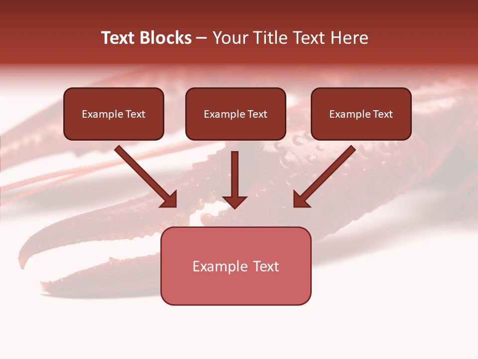 Antenna Photography Seafood PowerPoint Template