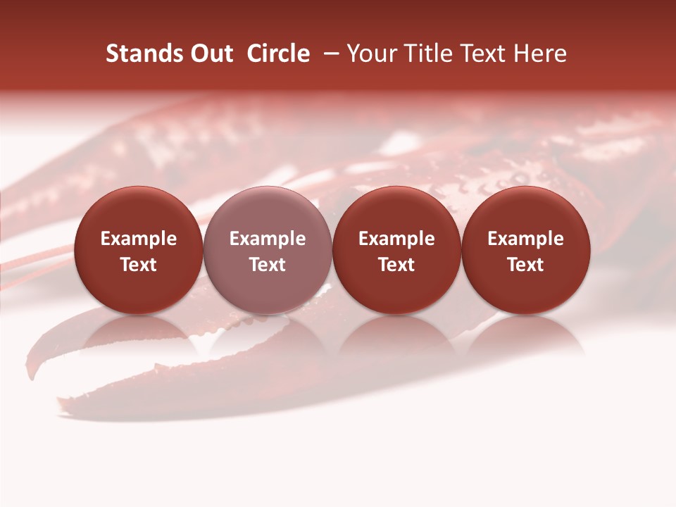 Antenna Photography Seafood PowerPoint Template