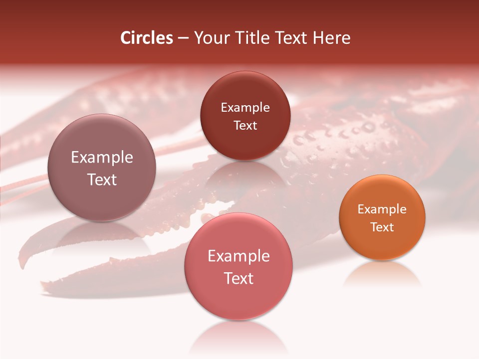 Antenna Photography Seafood PowerPoint Template