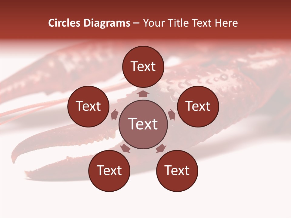 Antenna Photography Seafood PowerPoint Template