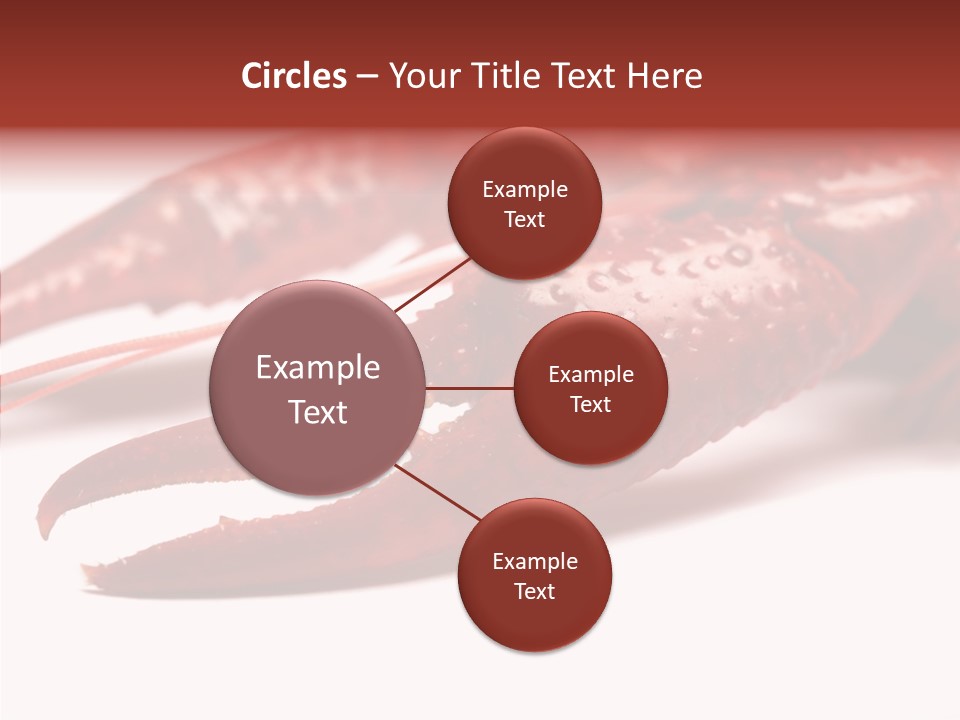 Antenna Photography Seafood PowerPoint Template