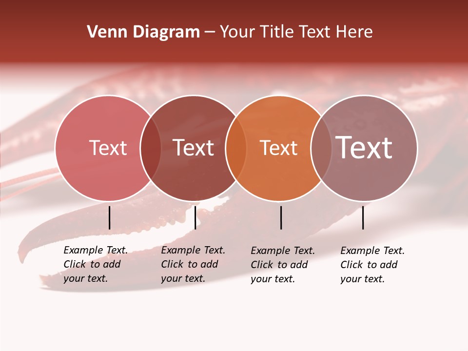 Antenna Photography Seafood PowerPoint Template