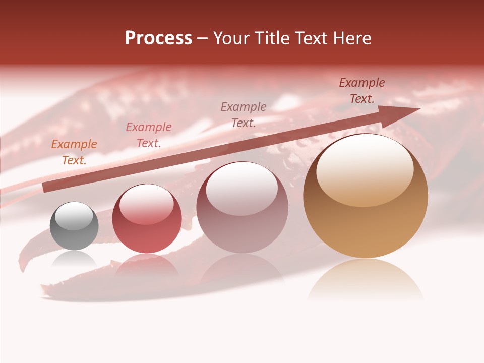 Antenna Photography Seafood PowerPoint Template