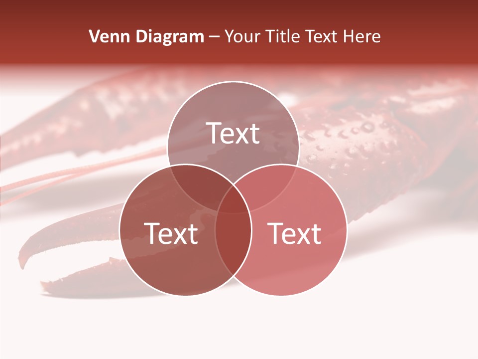 Antenna Photography Seafood PowerPoint Template