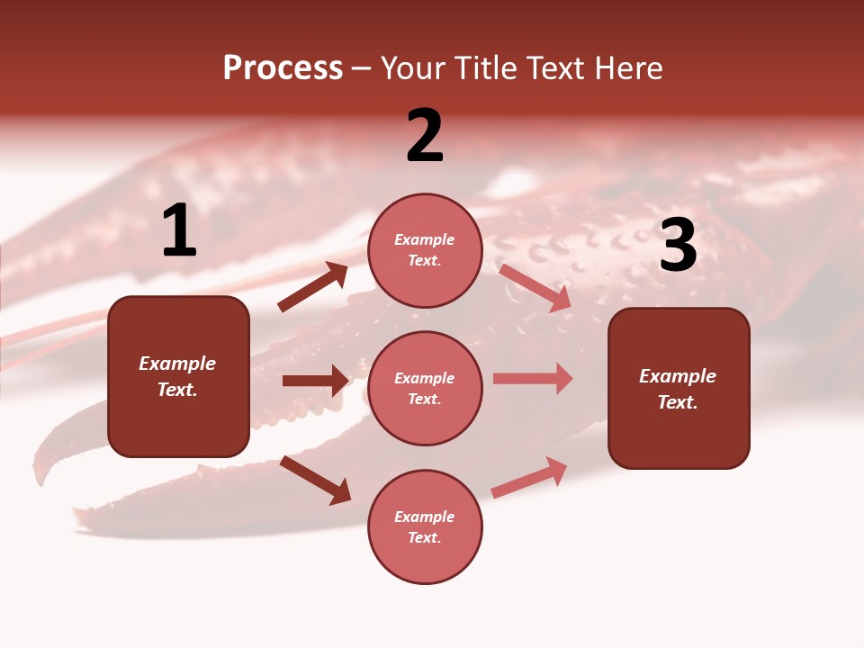 Antenna Photography Seafood PowerPoint Template