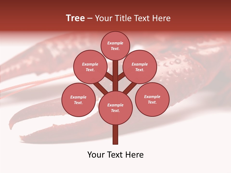 Antenna Photography Seafood PowerPoint Template