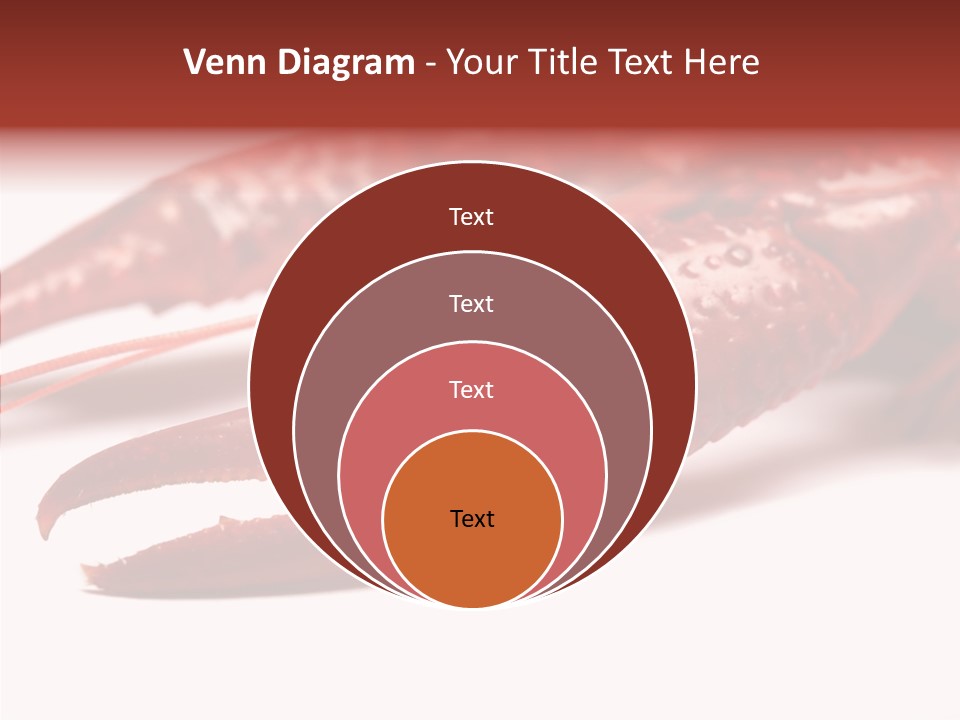 Antenna Photography Seafood PowerPoint Template