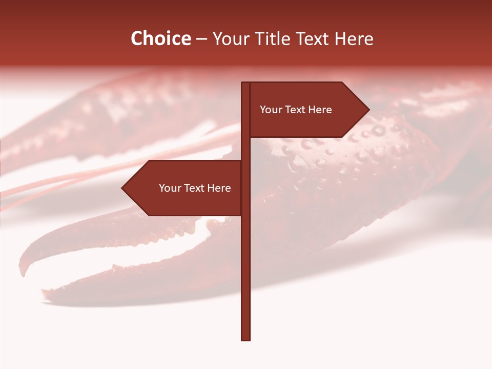 Antenna Photography Seafood PowerPoint Template