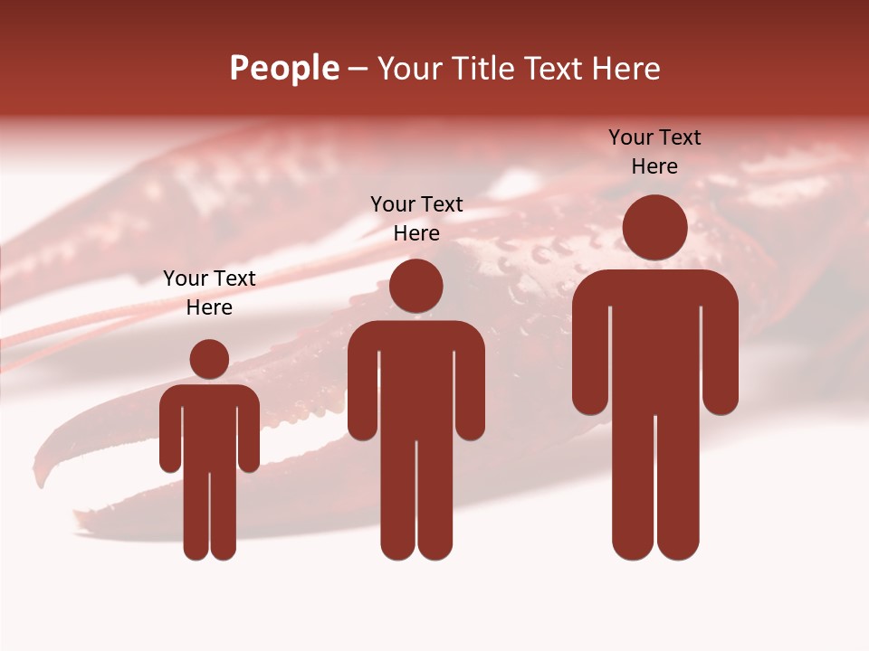 Antenna Photography Seafood PowerPoint Template