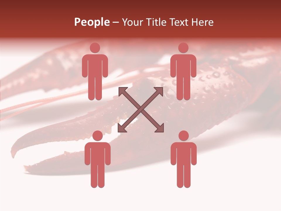 Antenna Photography Seafood PowerPoint Template