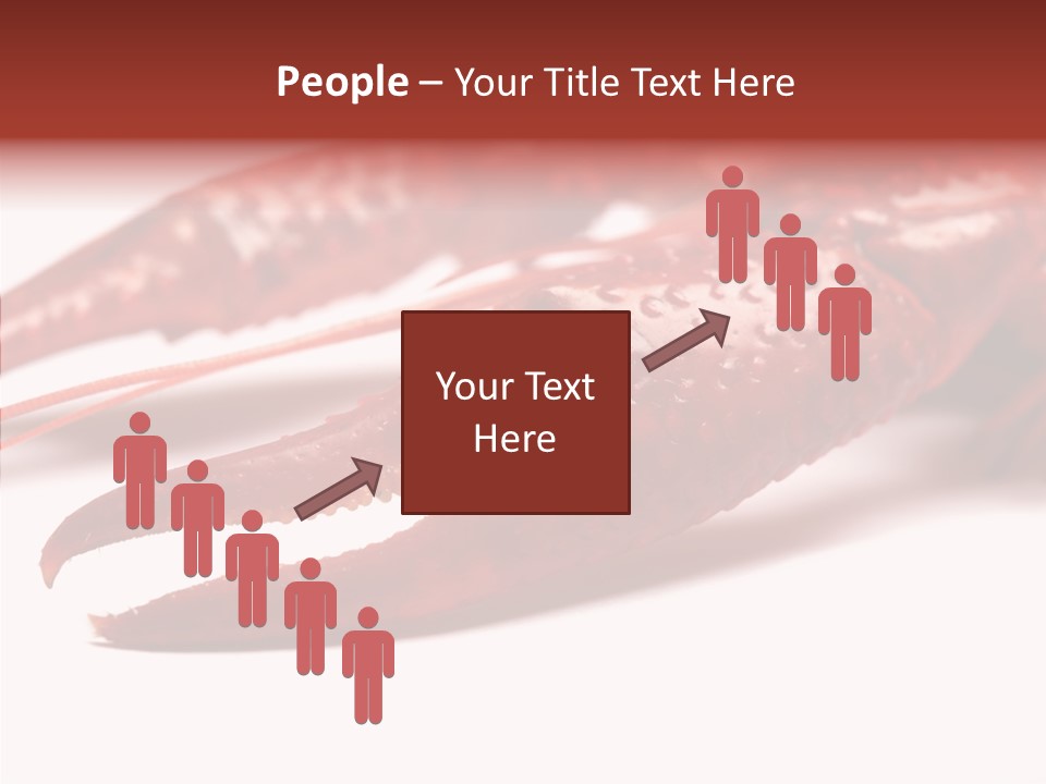 Antenna Photography Seafood PowerPoint Template