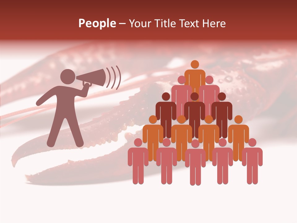 Antenna Photography Seafood PowerPoint Template