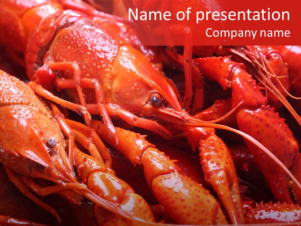 Color Seafood Gourmet PowerPoint Template