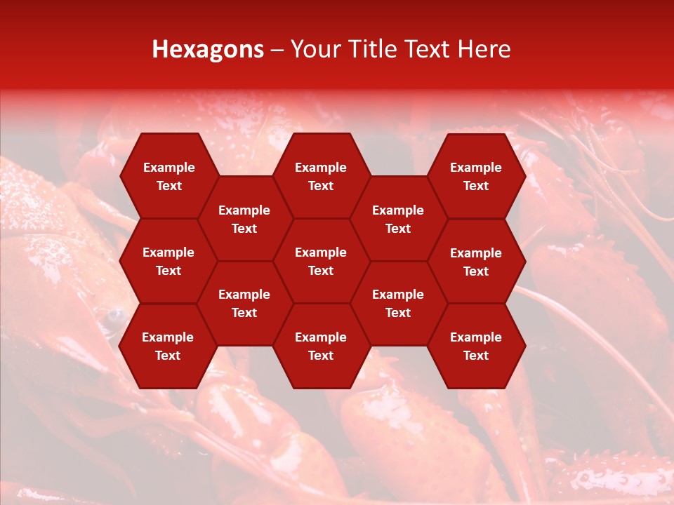 Color Seafood Gourmet PowerPoint Template