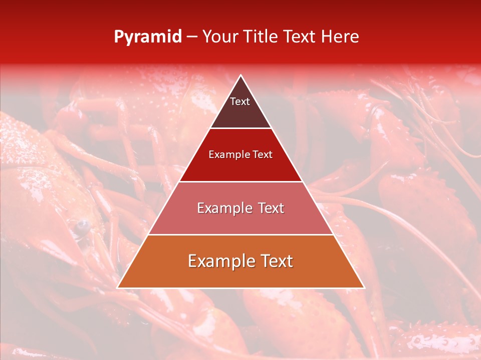 Color Seafood Gourmet PowerPoint Template