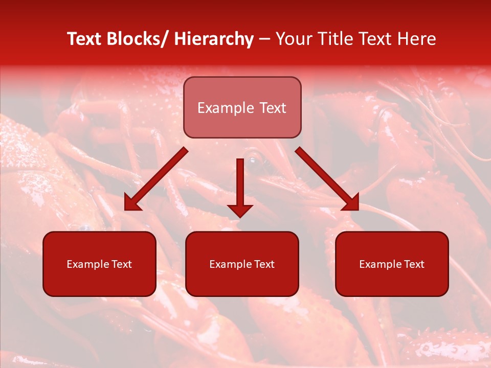 Color Seafood Gourmet PowerPoint Template