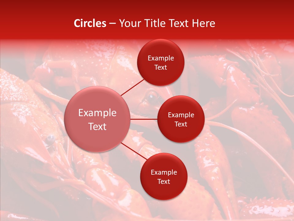 Color Seafood Gourmet PowerPoint Template