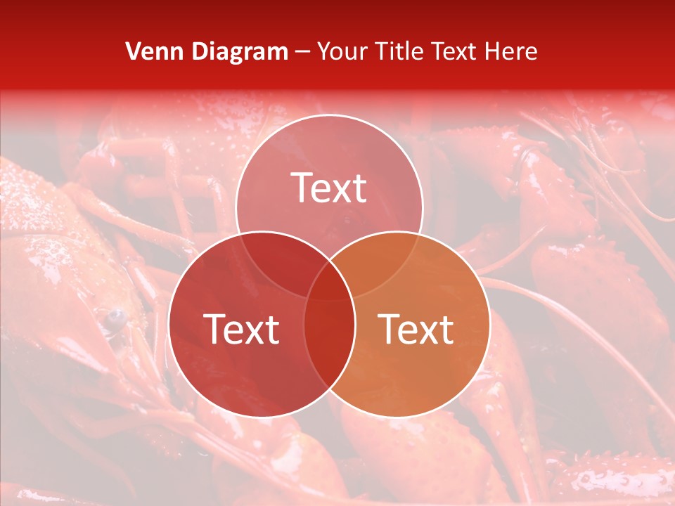 Color Seafood Gourmet PowerPoint Template