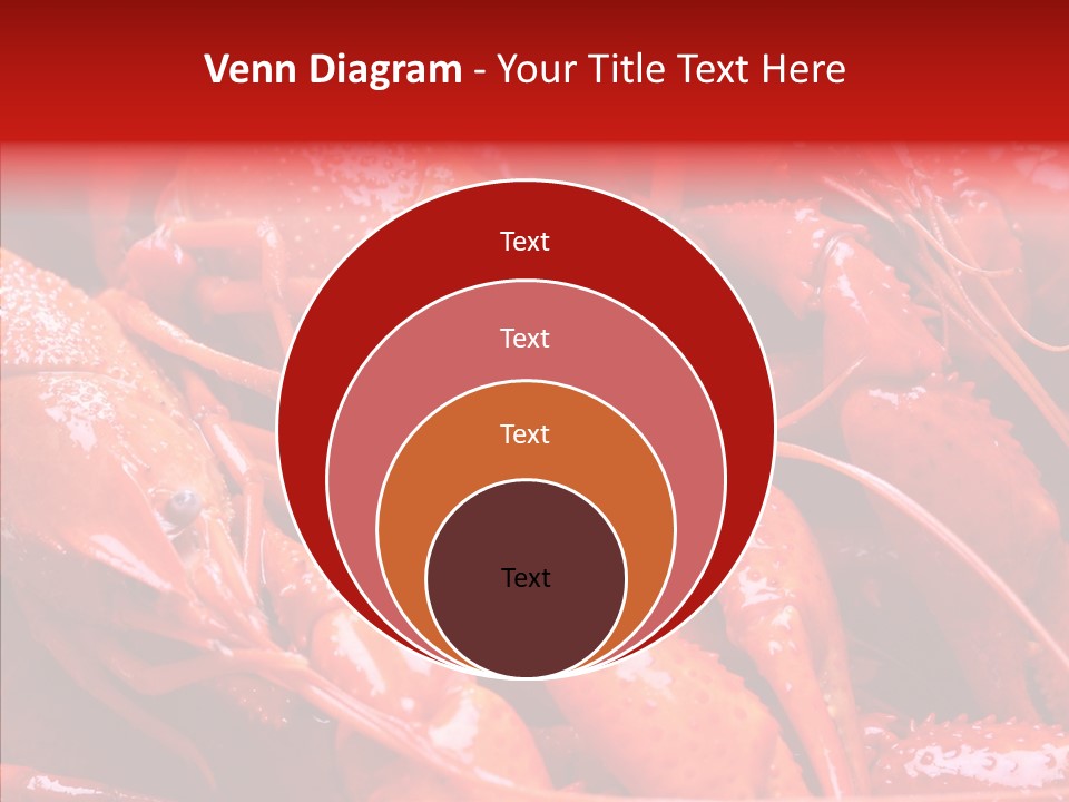 Color Seafood Gourmet PowerPoint Template