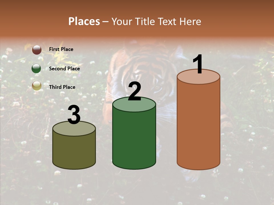 Cat Lying Watchful PowerPoint Template