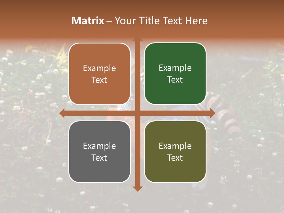 Cat Lying Watchful PowerPoint Template