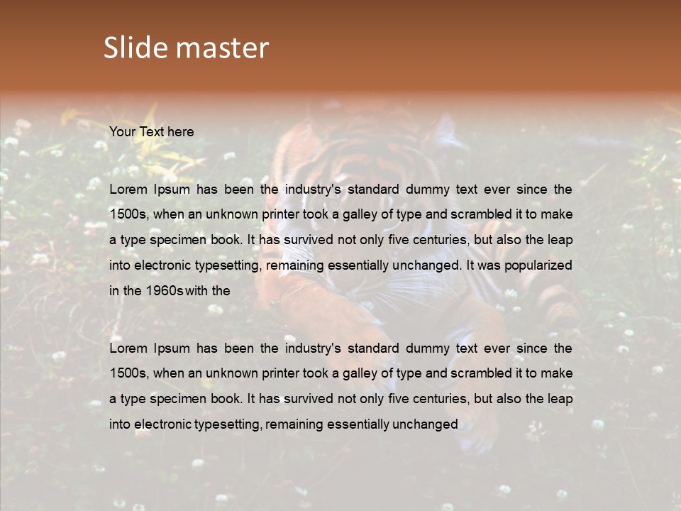 Cat Lying Watchful PowerPoint Template