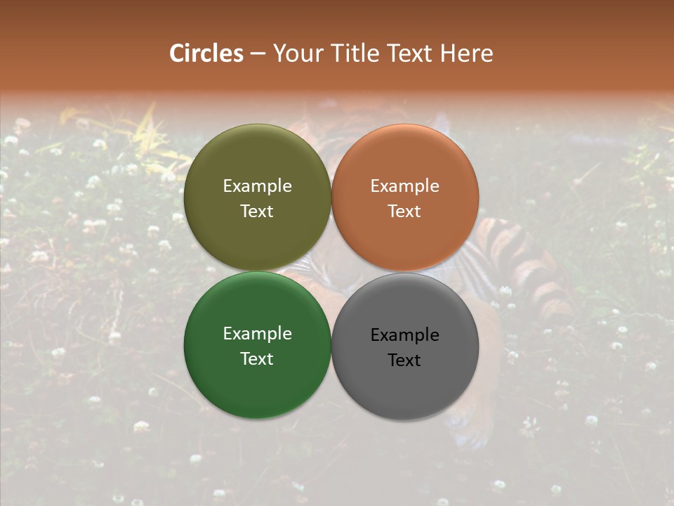 Cat Lying Watchful PowerPoint Template