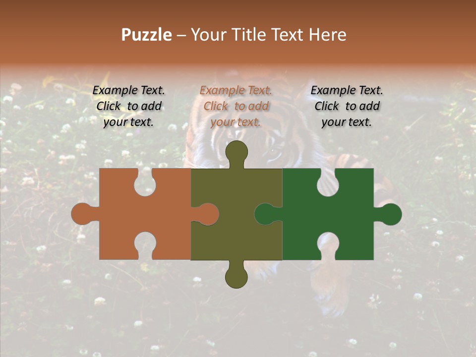 Cat Lying Watchful PowerPoint Template