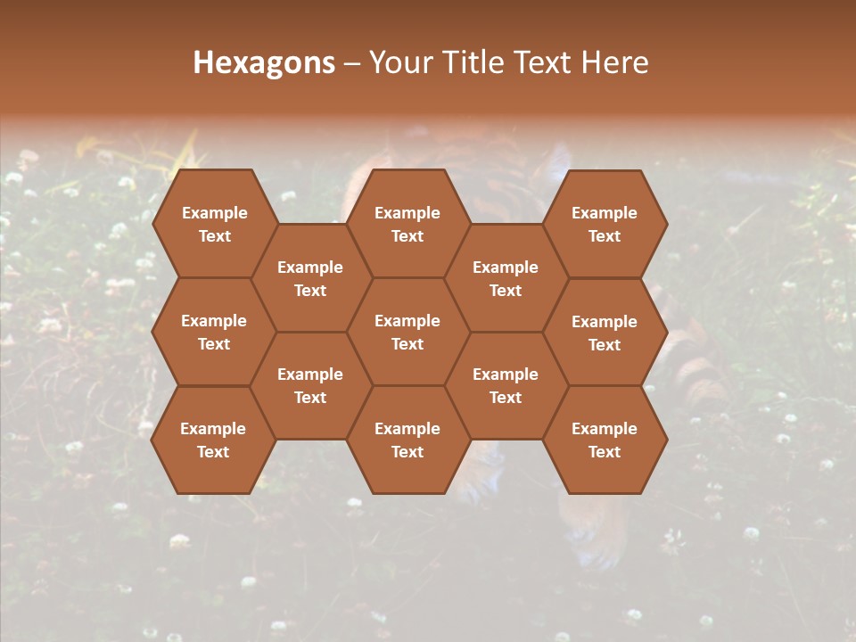 Cat Lying Watchful PowerPoint Template