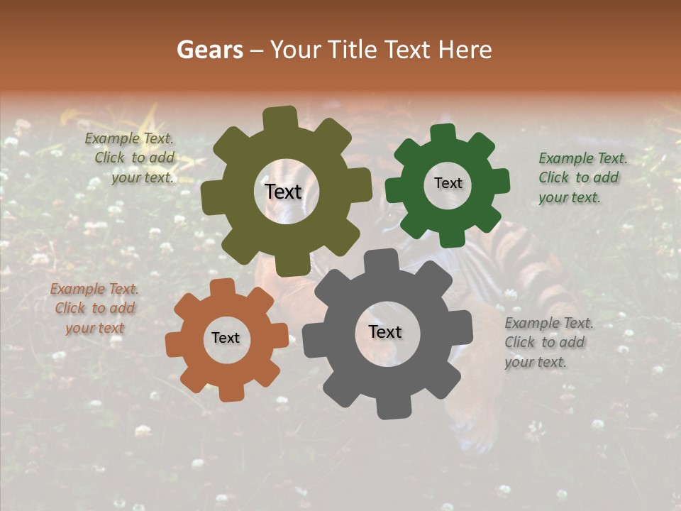 Cat Lying Watchful PowerPoint Template