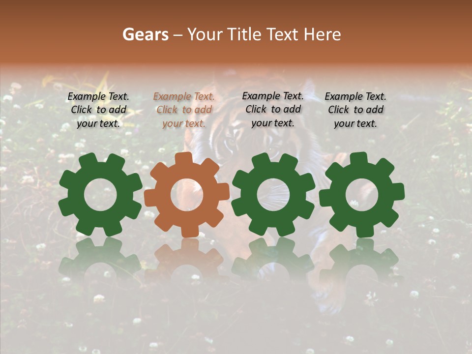 Cat Lying Watchful PowerPoint Template