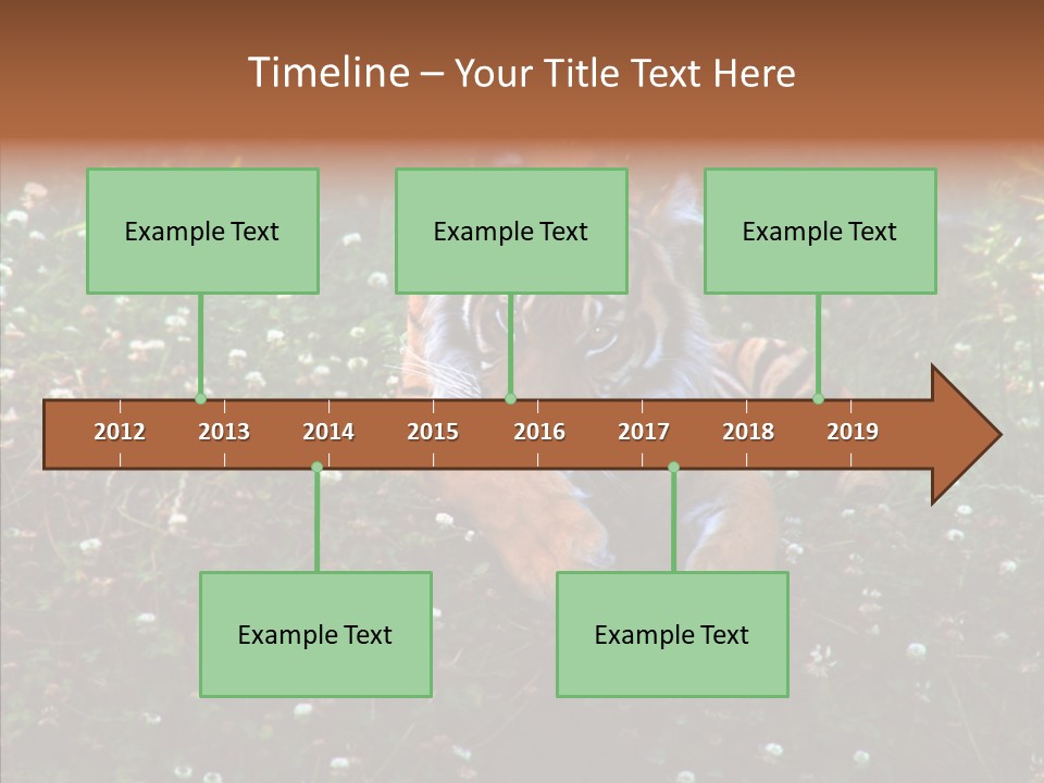 Cat Lying Watchful PowerPoint Template