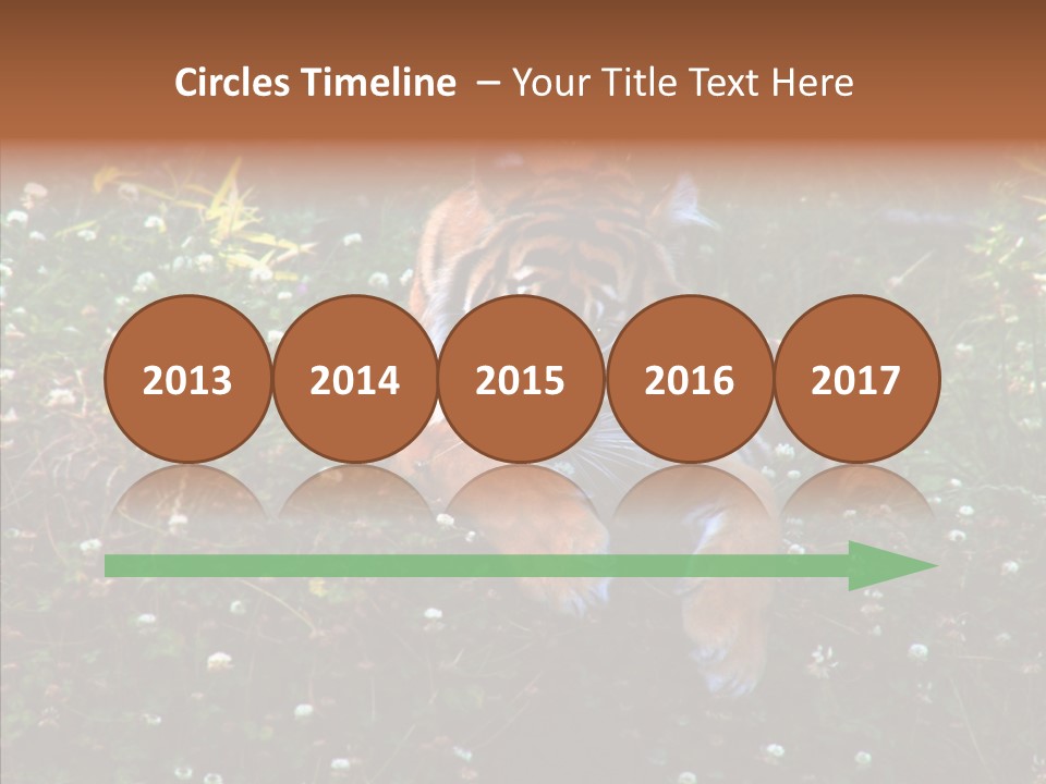 Cat Lying Watchful PowerPoint Template