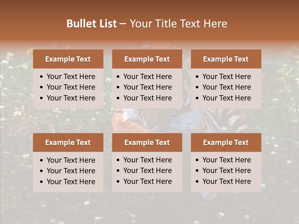 Cat Lying Watchful PowerPoint Template