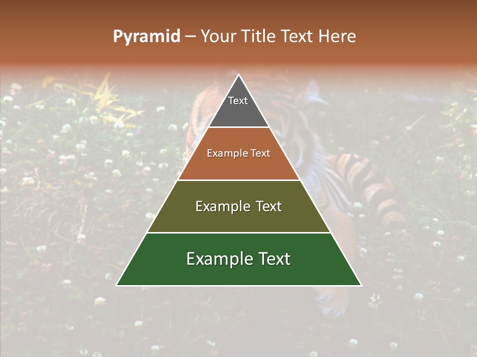 Cat Lying Watchful PowerPoint Template