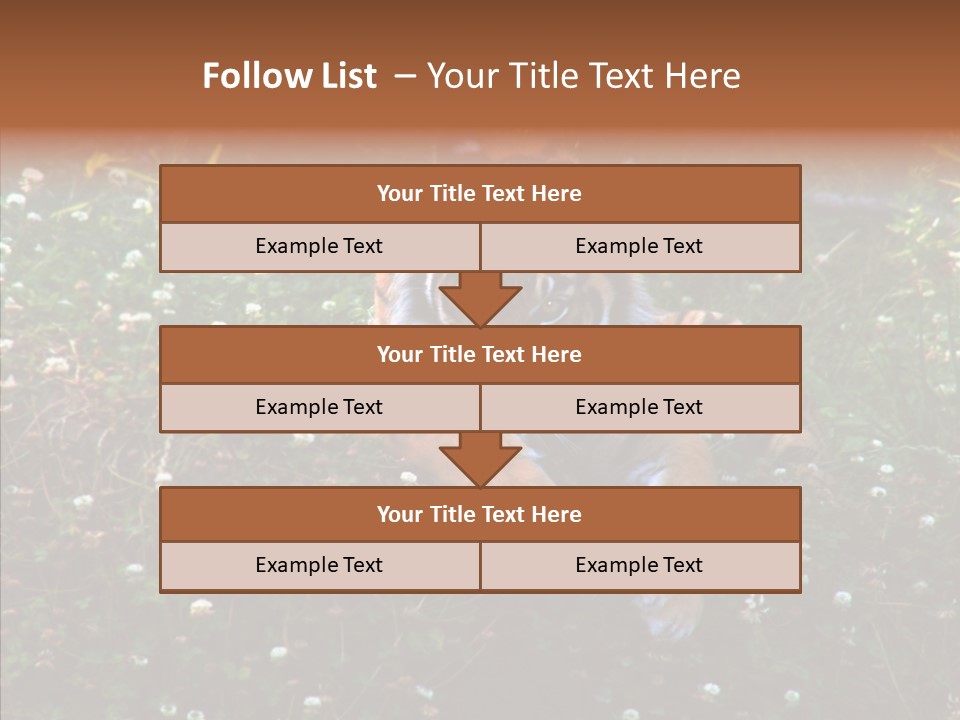 Cat Lying Watchful PowerPoint Template