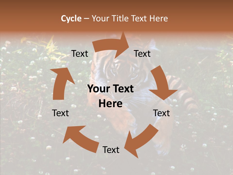 Cat Lying Watchful PowerPoint Template