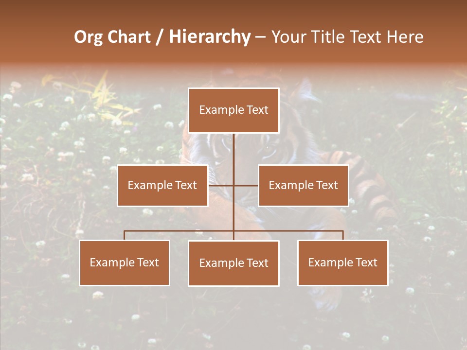 Cat Lying Watchful PowerPoint Template