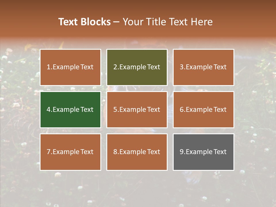 Cat Lying Watchful PowerPoint Template