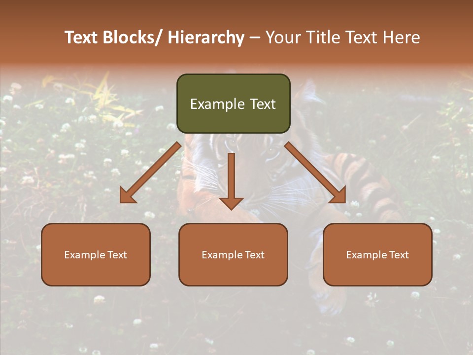 Cat Lying Watchful PowerPoint Template