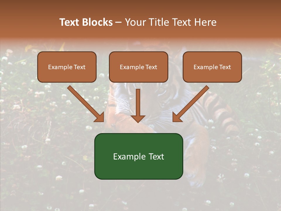 Cat Lying Watchful PowerPoint Template