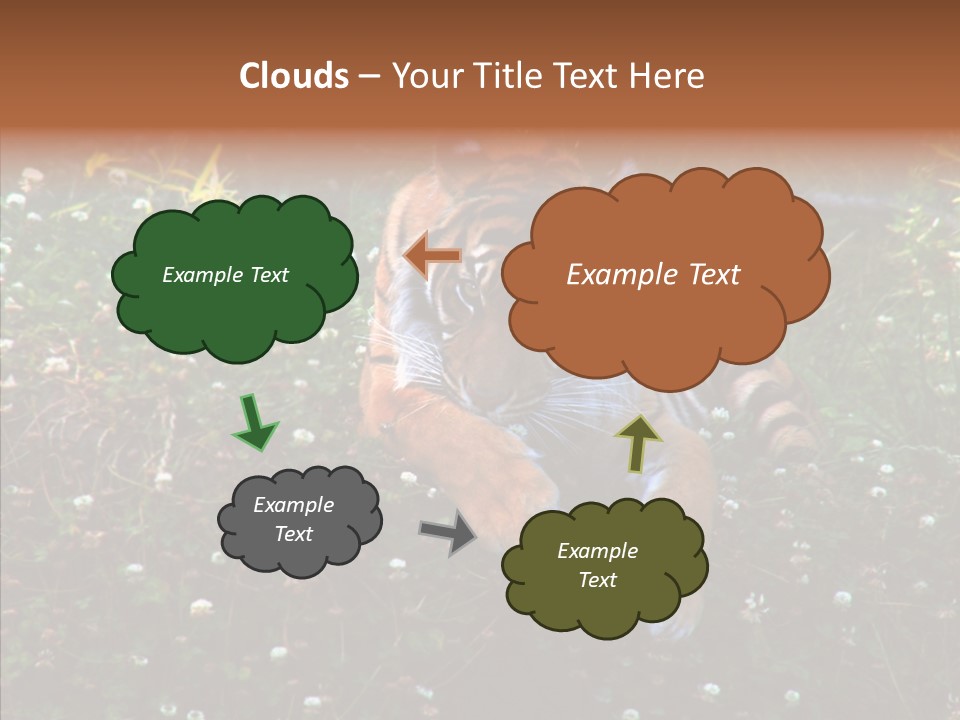 Cat Lying Watchful PowerPoint Template