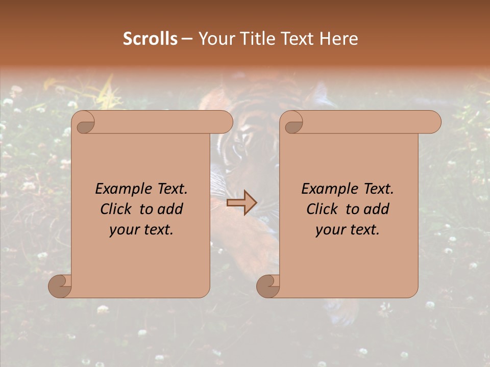 Cat Lying Watchful PowerPoint Template