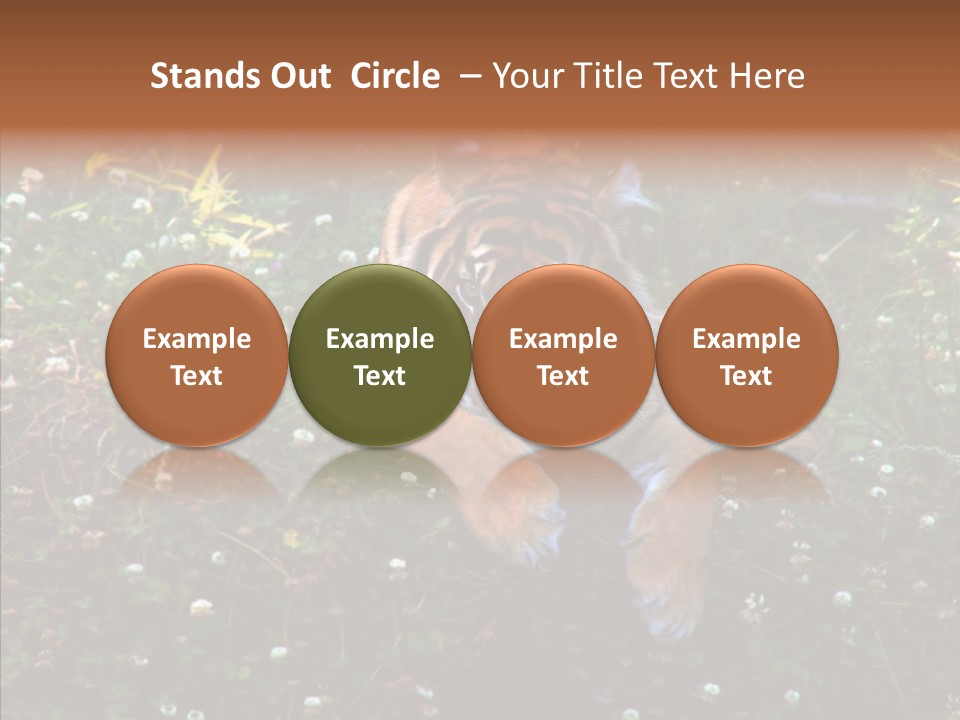 Cat Lying Watchful PowerPoint Template