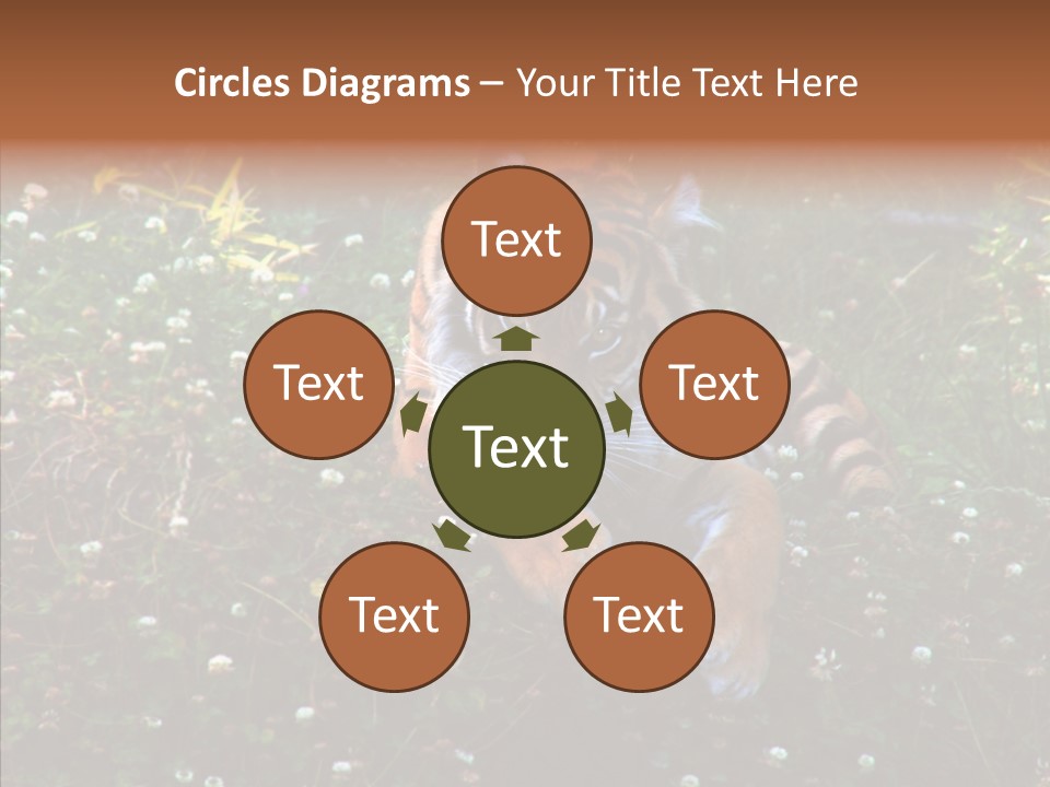 Cat Lying Watchful PowerPoint Template