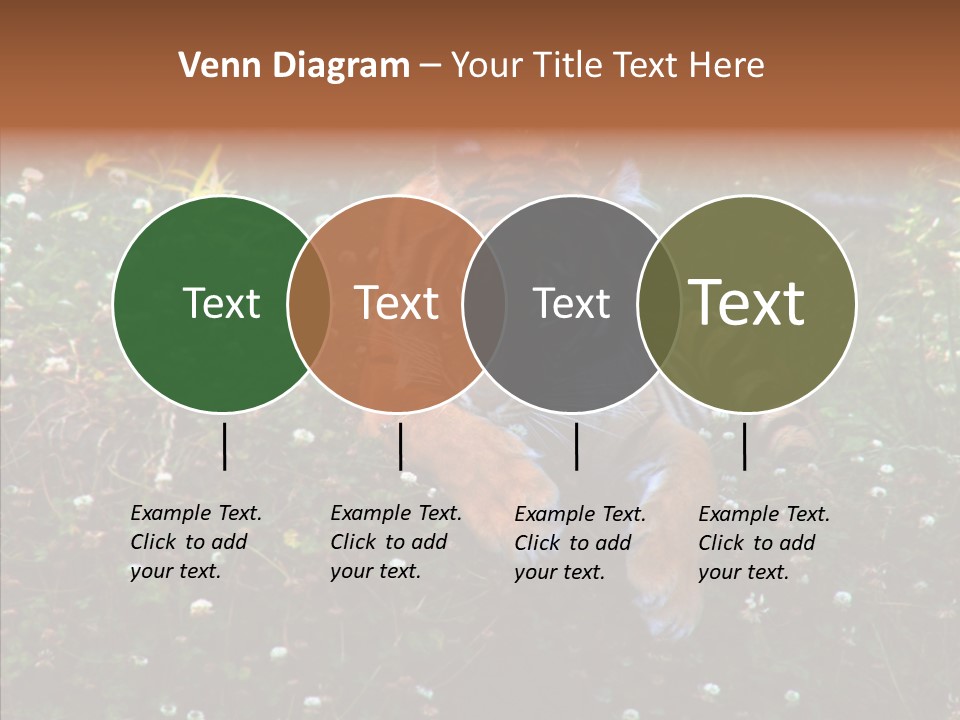 Cat Lying Watchful PowerPoint Template