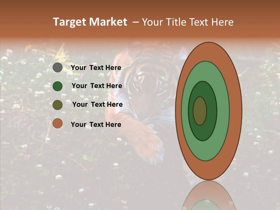 Cat Lying Watchful PowerPoint Template